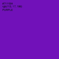 #7111BA - Purple Color Image