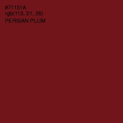 #71151A - Persian Plum Color Image