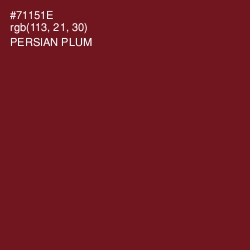 #71151E - Persian Plum Color Image