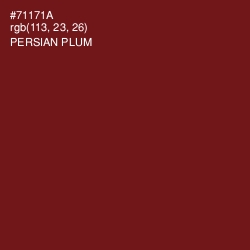 #71171A - Persian Plum Color Image