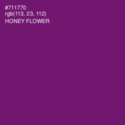 #711770 - Honey Flower Color Image