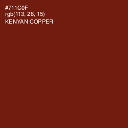 #711C0F - Kenyan Copper Color Image