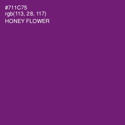 #711C75 - Honey Flower Color Image