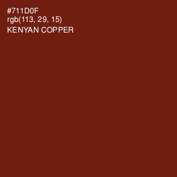 #711D0F - Kenyan Copper Color Image