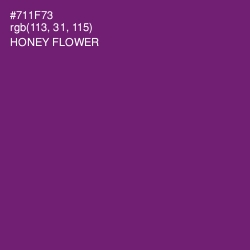 #711F73 - Honey Flower Color Image