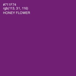 #711F74 - Honey Flower Color Image