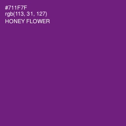 #711F7F - Honey Flower Color Image