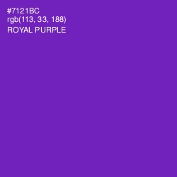 #7121BC - Royal Purple Color Image