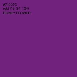 #71227C - Honey Flower Color Image