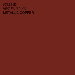 #71251D - Metallic Copper Color Image