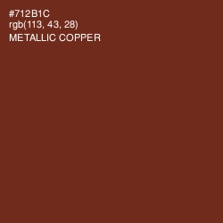 #712B1C - Metallic Copper Color Image