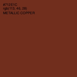 #712E1C - Metallic Copper Color Image