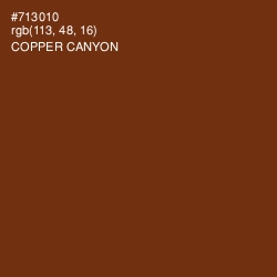 #713010 - Copper Canyon Color Image
