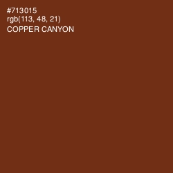 #713015 - Copper Canyon Color Image