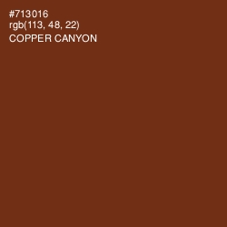 #713016 - Copper Canyon Color Image