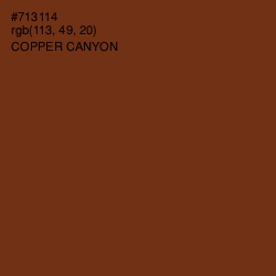 #713114 - Copper Canyon Color Image