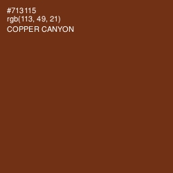 #713115 - Copper Canyon Color Image