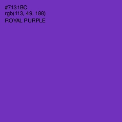 #7131BC - Royal Purple Color Image