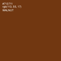 #713711 - Walnut Color Image