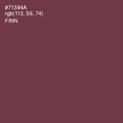 #71384A - Finn Color Image