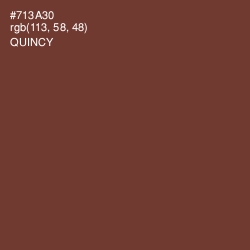 #713A30 - Quincy Color Image