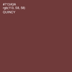 #713A3A - Quincy Color Image