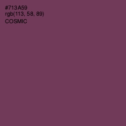 #713A59 - Cosmic Color Image