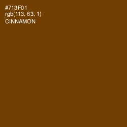 #713F01 - Cinnamon Color Image