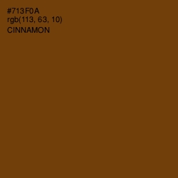 #713F0A - Cinnamon Color Image