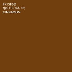 #713F0D - Cinnamon Color Image