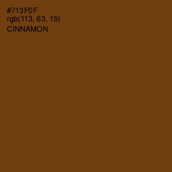 #713F0F - Cinnamon Color Image