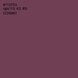 #713F53 - Cosmic Color Image