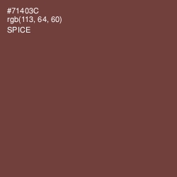 #71403C - Spice Color Image