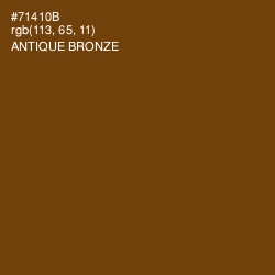 #71410B - Antique Bronze Color Image