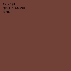 #714138 - Spice Color Image