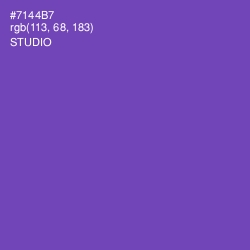 #7144B7 - Studio Color Image