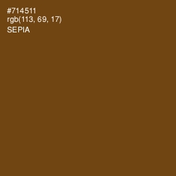 #714511 - Sepia Color Image
