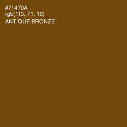 #71470A - Antique Bronze Color Image