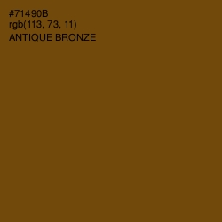 #71490B - Antique Bronze Color Image