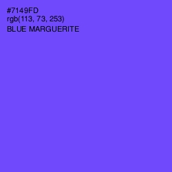 #7149FD - Blue Marguerite Color Image