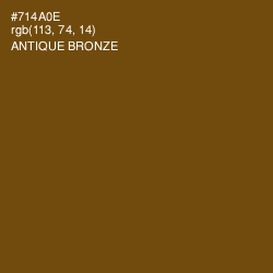 #714A0E - Antique Bronze Color Image