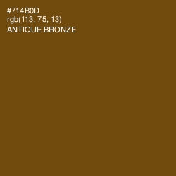 #714B0D - Antique Bronze Color Image