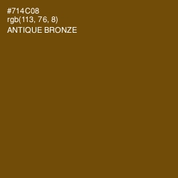 #714C08 - Antique Bronze Color Image