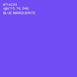 #714CF4 - Blue Marguerite Color Image