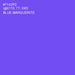 #714DF2 - Blue Marguerite Color Image