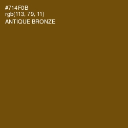 #714F0B - Antique Bronze Color Image