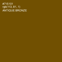 #715101 - Antique Bronze Color Image