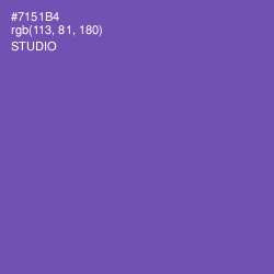 #7151B4 - Studio Color Image