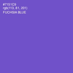 #7151C9 - Fuchsia Blue Color Image