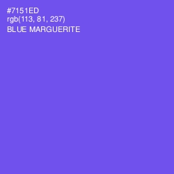 #7151ED - Blue Marguerite Color Image